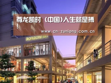案例展示一