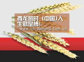尊龙凯时 (中国)人生就是搏!