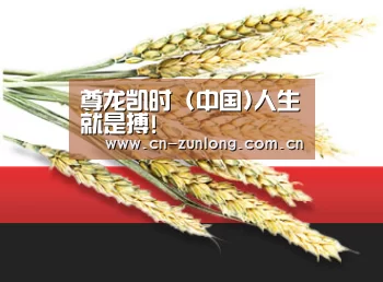 尊龙凯时 (中国)人生就是搏!